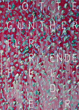 Katalog Lotte Günther: Flirrende Felder, 2012